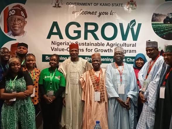 Farmers at the Table: Nigeria’s AGROW Policy Push to Boost Food Security and Rural Incomes